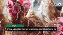 [#Reportage] Gabon : six fermes agropastorales pour préparer l’interdiction du poulet importé