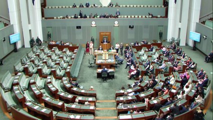 Protection bill passes lower house, but lacks senate support