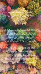 “Every blessing you see around you is crafted by His Hands. 🌾 A reminder that all we ‘own’ is truly His gift. 🕊️ #QuranReflection #SurahYaseen #IslamicReminders #DivineCreation #Gratitude #FaithInspiration #QuranicVerse”