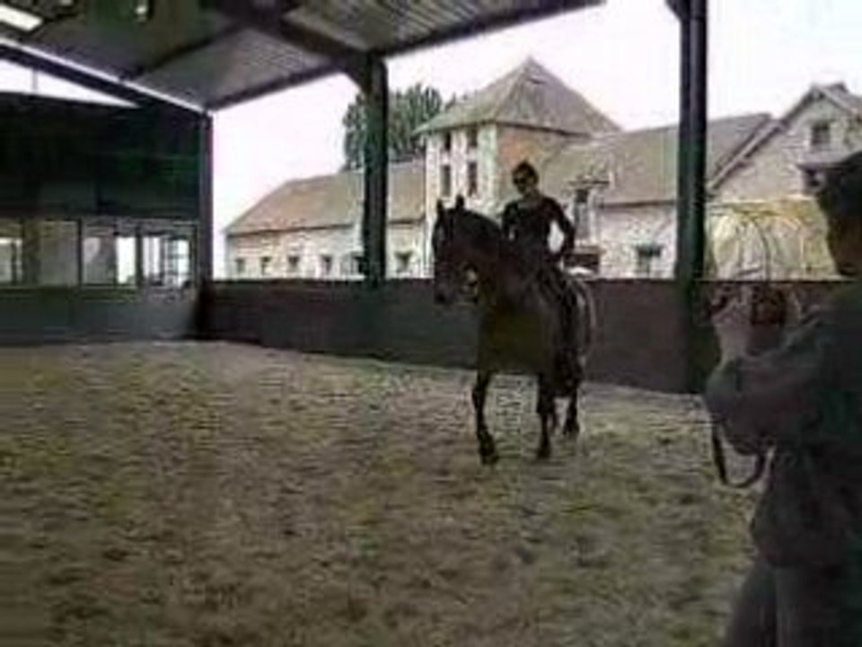 Jazira_dsa_22mai2008_1