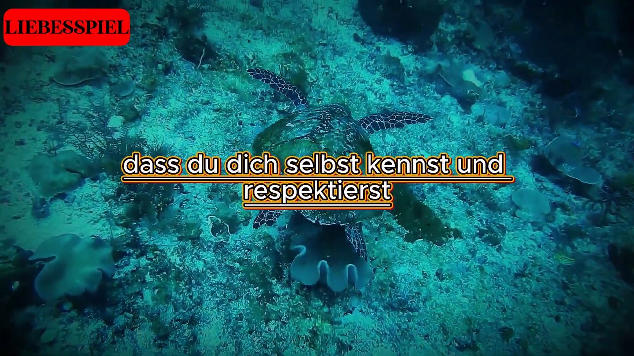 So wird sich eine Frau von dir angezogen fühlen!