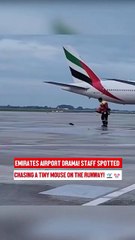 “Your Daily Dose of Laughter Tom and Jerry Drama At Airport”