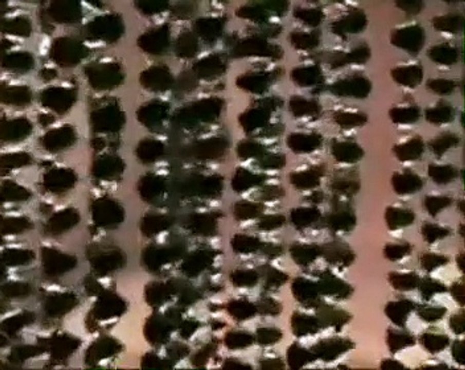 Chubby Checker   Let's Twist Again (lyrics)