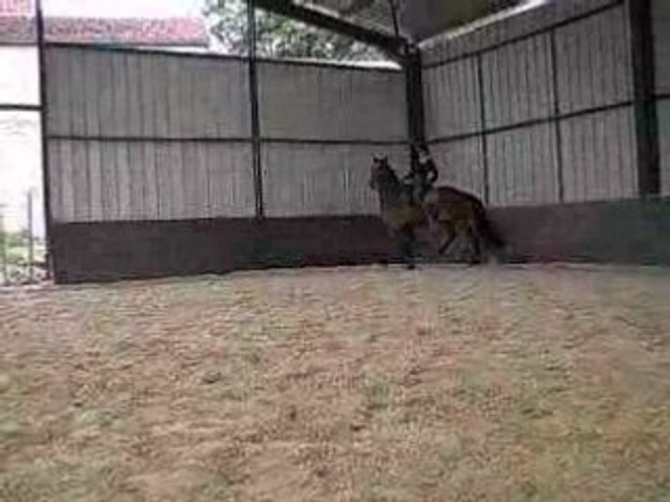 Jazira_dsa_22mai2008_2