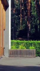 She Came Out Of A Coma After 7 Years Engsub