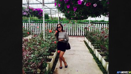 Assassins (2020) – Full Movie Hindi Dubbed