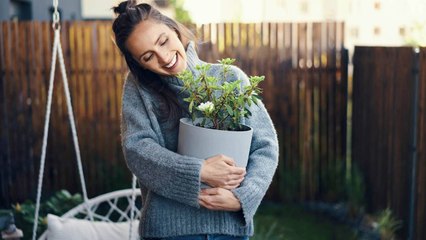 When Is It Time To Bring Your Outdoor Plants Inside?