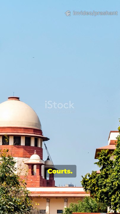 India’s Air Crisis: SC Plea in 45 Seconds