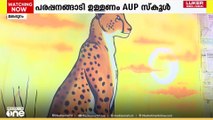 സ്കൂൾ കളറാക്കി ആക്രിക്കടയിലെ കലാകാരന്മാർ; വർണാഭമായി ക്ലാസ് മുറികൾ