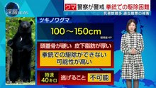 深層ＮＥＷＳ 動画　2025年日11月6日
