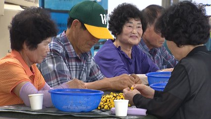 [충북] 충북 '일하는 밥퍼', 하루 참여 인원 3천 명 돌파 / YTN