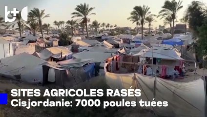 Les forces israéliennes détruisent deux zones agricoles palestiniennes