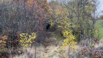 Ngjarja ne Malisheve