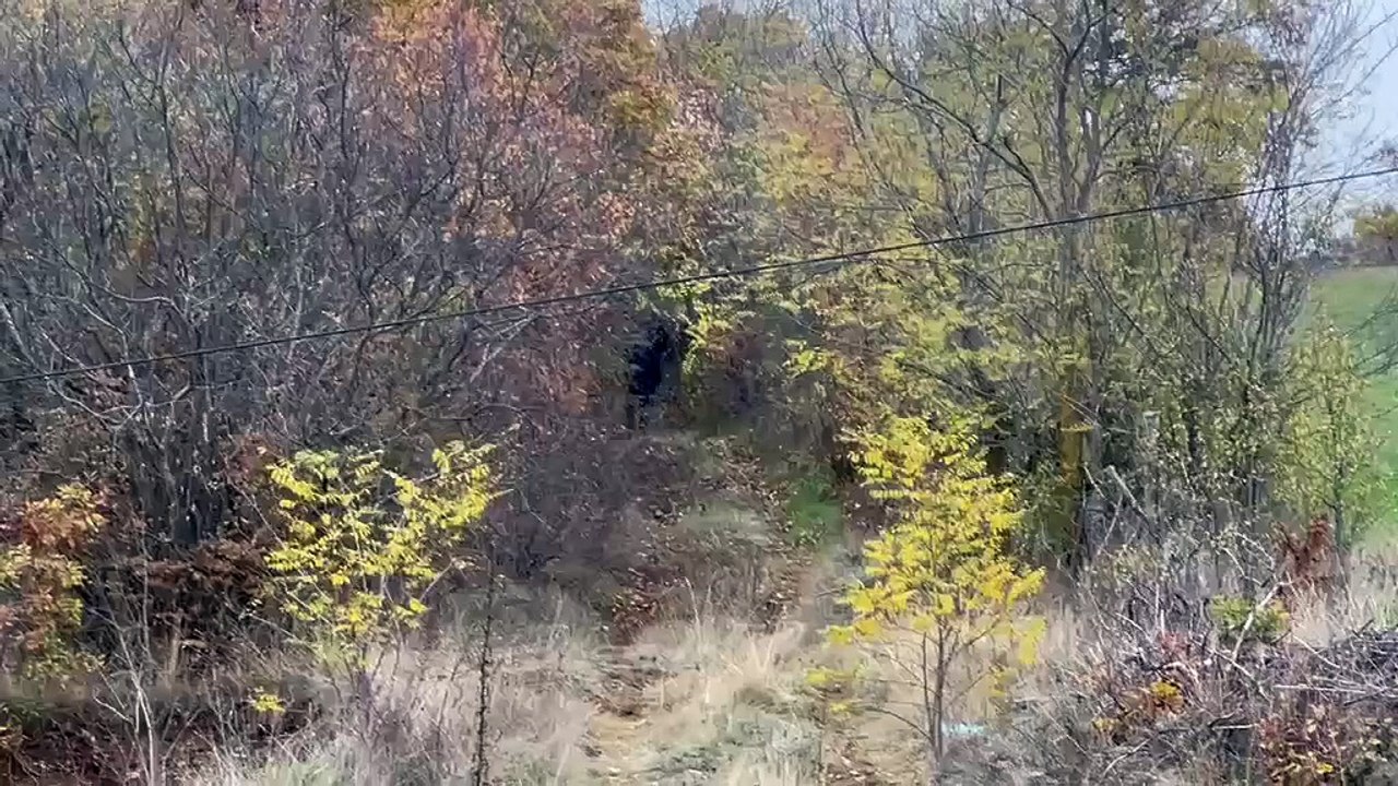 Ngjarja ne Malisheve