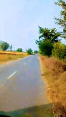 Explore the beauty of Nature | Nature with Amit