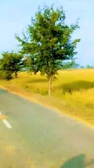 Explore the beauty of Nature | Nature with Amit