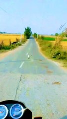 Explore the beauty of Nature | Nature with Amit