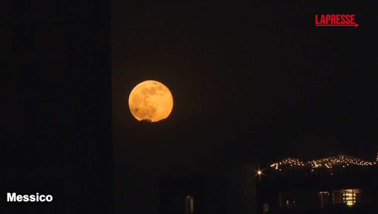Superluna di novembre 2025, la Beaver Moon illumina i cieli del mondo