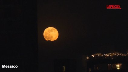 Superluna di novembre 2025, la Beaver Moon illumina i cieli del mondo