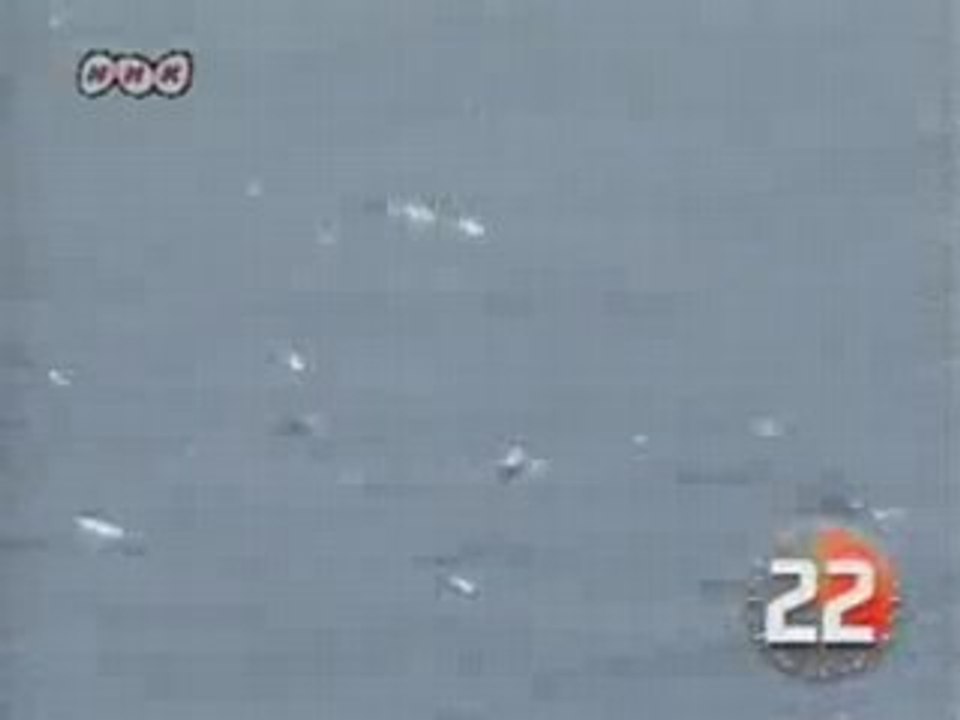 Record de vol pour un poisson volant!