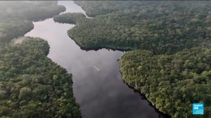 COP30 : les dirigeants réunis à Belem pour sauver la lutte climatique