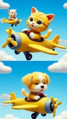 two aeroplane collapsed, dog and cat are pilot #cat #catvideos #dog