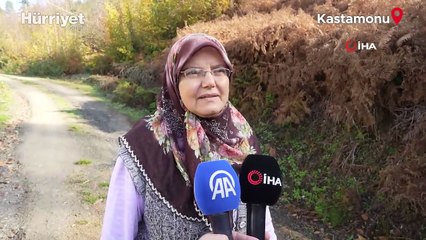 Kayıp anne ve oğlunu görenler konuştu: "Mantar toplamaya gelmiş gibi bir hali yoktu"