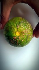 I Cut Fresh & Juicy Green Lemon — Lemon Cutting Style