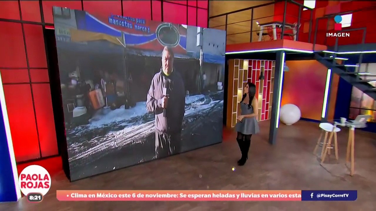 Fuego arrasa tienda de mascotas en Venustiano Carranza | DPC con Paola Rojas