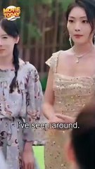 echoes of the shield chinese drama