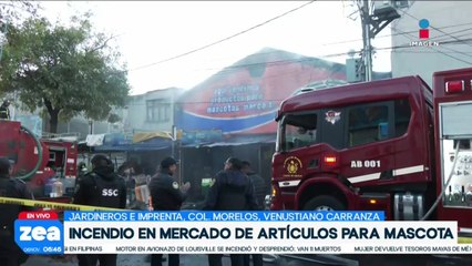 Se registra incendio en tienda de mascotas ubicado en la Col. Morelos