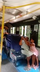 Bicho-preguiça rouba a cena dentro de van em Maceió