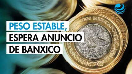Peso opera estable contra el dólar a la espera del anuncio de Banxico