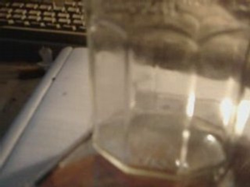 Magnétisme sur un Cousin (La bestiole)