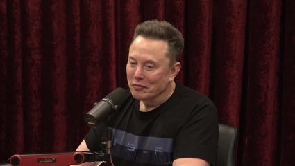 Elon Musk lost for words when asked to explain his accusation Zohran Mamdani is a ‘swindler’