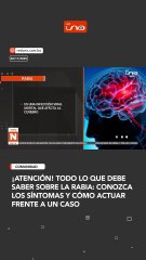 ¡Atención! Todo lo que debe saber sobre la rabia: conozca los síntomas y cómo actuar frente a un caso