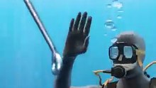 The_Diver_Who_Pulled_Hooks_From_Sharks_😮