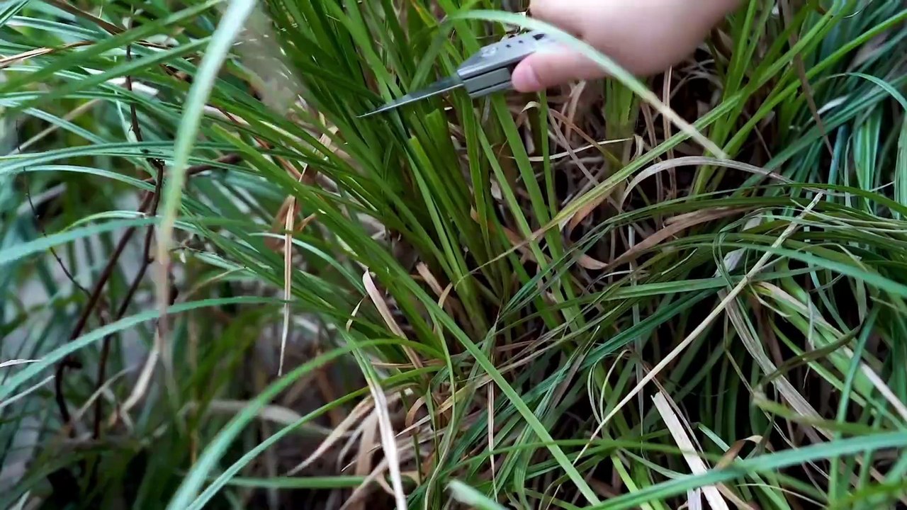 Shadow Knife – The Ultimate Titanium Utility Knife ✨