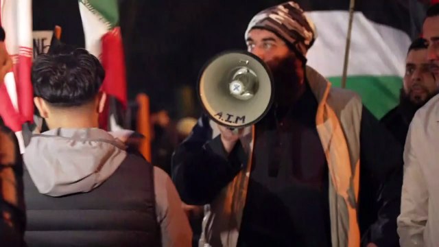 Pro Palestine protest takes place outside Villa Park