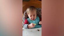 Adorable Baby Reactions
