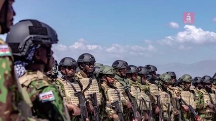 Actualidad en RD: Ayudas, control de corrupción, 181 años de la Constitución en Notas Breves