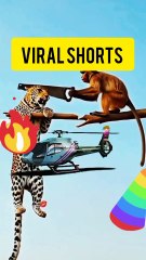 Unbelievable! Lion Strikes Monkey OverTree | Wild Jungle Showdown 🦁🐒🔥”