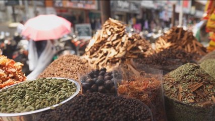 Explorando la ruta de las especias de la India: un viaje de mil sabores por Kerala