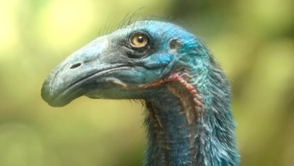 Prehistoric Planet Ice: Age Season 3 Official Trailer — Apple TV