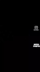 Gummy Bear French full version in Neon Reversed