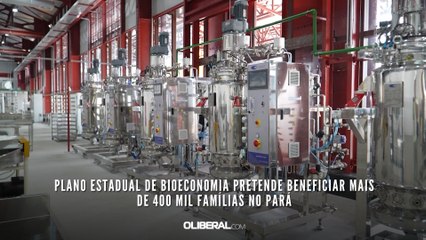Plano Estadual de Bioeconomia pretende beneficiar mais de 400 mil famílias no Pará