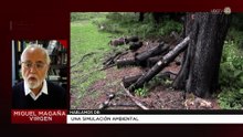 Una simulación ambiental | Miguel Magaña