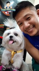 🔴 BONDING WITH PICKLES AFTER VET CHECK UP #shihtzu