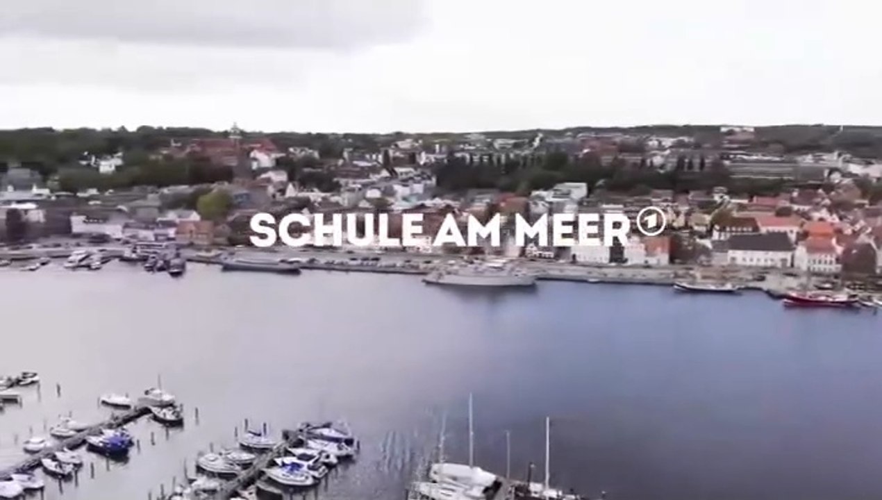 Schule am Meer - Elternfreuden