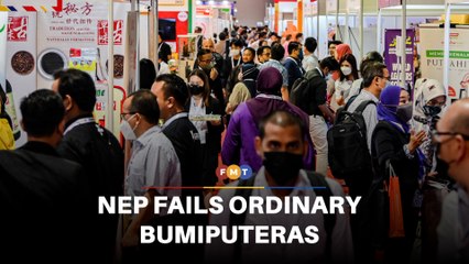 Economist says NEP benefits political elite, not ordinary Bumiputeras
